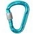 icemint (329)